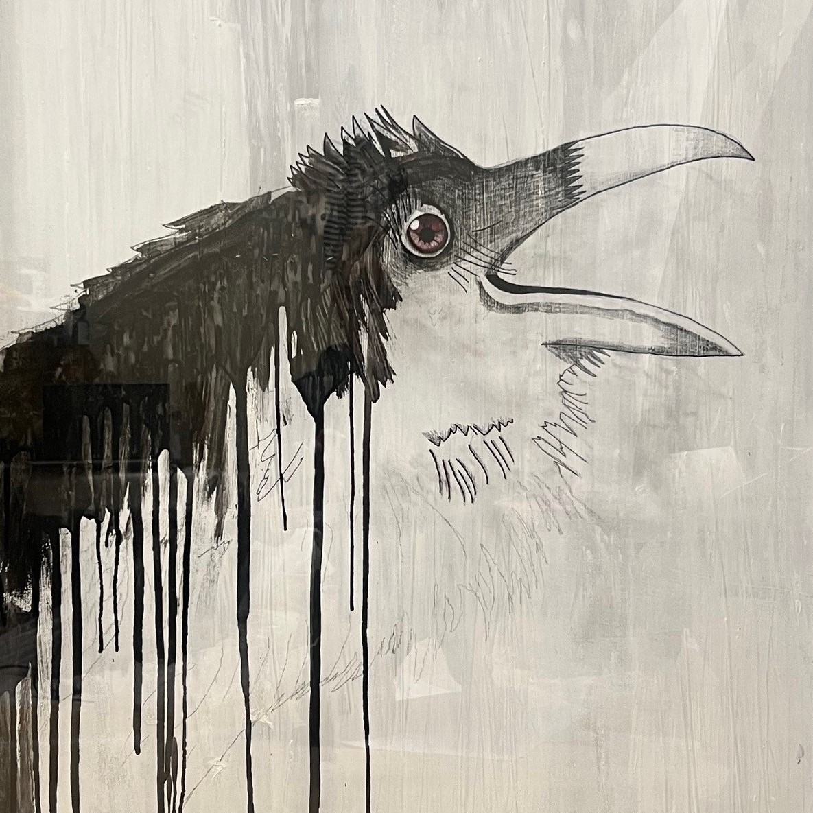 My black birds